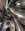 IMG_20211005_180327231~4.jpg