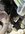 54C18592-EDEA-44F9-BF3C-A82C40D5FCC3.jpeg