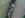 drive shaft montrose.jpg