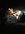 ADF52BD2-1D2E-40EE-9B68-8C55C978D9D1.jpeg