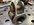 ACEAD7AE-35BB-4FA5-B809-8506943ECF81.jpeg