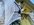 3C587FE7-28ED-4CA1-8CFE-301ABFD8E75D.jpeg
