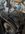 3310BFA2-0FC5-47EE-A0A2-38469EF7BD2A.jpeg