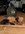 BFB6C8FC-B5E3-4C3B-A976-F32B99A097EA.jpeg