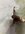 8FF212BA-524B-4BB6-950C-AE8FA278340B.jpeg