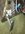 91A071A2-59B1-4BB7-BF53-B12FEADFFE63.jpeg
