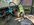 964DF444-2E4A-4B60-BE37-D0563F4FF3C5.jpeg