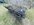 C8CF8284-09AB-4DA0-A398-8B34E91E1A39.jpeg