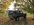 6D095215-6643-4CF3-8607-5ABC446989BC.jpeg