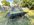 D1F7E824-C640-4DC2-AFCE-767A0FAED8DB.jpeg