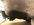 D977B7DF-C231-4EE5-950C-90D4FF07D1D1.jpeg