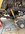 D8DB2481-46A2-40E8-BAF2-E4981CE148DD.jpeg
