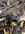 FD5FEFA8-8E39-4992-B24E-C0A46BFA70A7.jpeg FD5FEFA8-8E39-4992-B24E-C0A46BFA70A7.jpeg