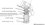 exploded-view.jpg