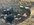 93FC6E94-264A-4A33-8530-8331E5A4FC77.jpeg