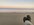EF9BAF1B-B3CE-4244-A7B8-3B58373C0898.jpeg