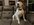 06BE85A9-A950-4C2F-809D-3D04F32360C6.jpeg