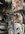 230C62A9-BA27-4006-9C50-9266DA410018.jpeg