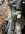 A2F6A902-96B7-4349-BBAA-8ECD262E96CC.jpeg
