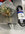 D7CE19E1-87E5-4C8C-AFE1-AEA82EDBD3F8.jpeg