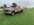 dually 2.jpg