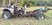 dually 9.jpg
