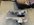 09833E82-2497-4997-8993-08C699776C21.jpeg