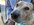 48E30453-1A8B-4D4A-AA77-C1F5E3187A75.jpeg