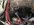 AF576688-2FF2-463A-853E-49B4230E9678.jpeg