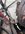 49E94727-ACDC-4AFB-A915-C58345F2E915.jpeg