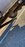 015AD330-9EC3-4536-B444-EFF58BAD849D.jpeg