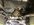 ACE75083-134E-4FF0-9C76-6816D270F43F.jpeg