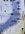 7841E642-F460-4C80-BCEA-E93577DD3FE5.jpeg