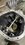 IMG_3256.jpeg