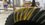 IMG_3264.jpeg