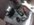 1639205247217.jpeg