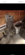 Screenshot_20211230-113825.png