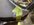 E3AE3DBE-519C-4A03-B34B-99972B0C42A3.jpeg