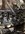 DCD46DAF-C9A3-43C4-9A00-40354549A7AF.jpeg