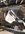 39983C49-E81C-498D-9119-600F1BA9D865.jpeg