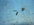 553F2825-0AAC-451F-97D2-8CE711764743.jpeg