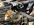 D143FC49-90C5-49D6-A27D-253EF95B66CA.jpeg