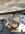 10FF01D3-097F-469E-A324-12B63ACD4368.jpeg