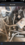 3C3DF0E8-0971-4293-A896-9CAF1A2DB460.png