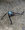 9BE592BD-B552-4A32-AAB5-F0D092825DE8.jpeg
