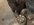 16419CA6-AB68-484B-BFCF-19FB72C6C3CE.jpeg