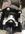 3866A268-CCC2-49A6-8643-C726403DA1C2.jpeg