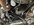 7B6258F9-6C8D-4877-85BD-B2EBFBEE86DE.jpeg
