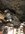 2BEEA28C-FF3A-4A35-A99E-19BC9BA1586D.jpeg