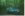 truck pixctures.jpg